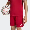 Шорти дитячі Adidas ENTRADA 26 SHORTS червоно-білі JZ6528