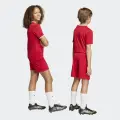 Шорти дитячі Adidas ENTRADA 26 SHORTS червоно-білі JZ6528