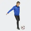 Реглан тренировочный детский Adidas ENTRADA 26 TRAINING TOP сине-белый JZ6631