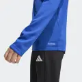 Реглан тренировочный детский Adidas ENTRADA 26 TRAINING TOP сине-белый JZ6631