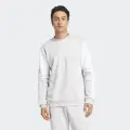 Світшот Adidas SQUADRA 25 SWEAT CREW світло-сіро-білий JD2960