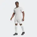 Шорти Adidas SQUADRA 25 SHORTS світло-сіро-білі JH3413