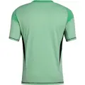 Футболка воротарська Adidas TIRO 25 COMPETITION GOALKEEPER мʼятно-чорна JI9716