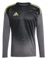 Футболка воротарська з довгим рукавом Adidas TIRO 25 COMPETITION GOALKEEPER сіро-лаймова JN2017