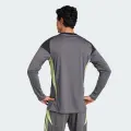 Футболка воротарська з довгим рукавом Adidas TIRO 25 COMPETITION GOALKEEPER сіро-лаймова JN2017
