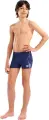 Плавки-боксеры детские Arena GRAPHIC SWIM SHORT темно-сине-белые 011189-701