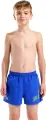 Шорти пляжні дитячі Arena BEACH SHORT LOGO R синьо-жовті 006446-862