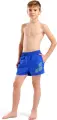 Шорти пляжні дитячі Arena BEACH SHORT LOGO R синьо-жовті 006446-862