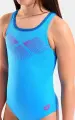 Купальник слитный детский Arena BAY SWIMSUIT SWIM PRO BACK голубо-розовый 011885-899