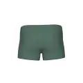 Плавки-боксеры Arena PLAYFUL SWIM SHORT оливково-темно-синие 011781-607