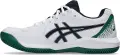 Кроссовки теннисные Asics GEL-DEDICATE 8 CLAY бело-зелено-темно-синие 1041A448-105