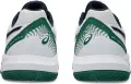 Кроссовки теннисные Asics GEL-DEDICATE 8 CLAY бело-зелено-темно-синие 1041A448-105