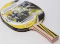 Набір для настільного тенісу Donic TOP TEAM 500 (ракетка, чохол і 4 м'ячі) світло-коричнево-білий 788451