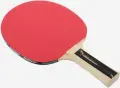 Ракетка для настільного тенісу Donic WALDNER 300 світло-коричнева 703001