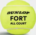 Набір м'ячів для тенісу Dunlop FORT ALL COURT TS 4B жовтий (4 штуки) 601607