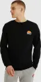 Світшот Ellesse DIVERIA чорний SHS02215-001