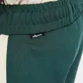 Спортивные штаны Ellesse LUXOR зелено-белые SHT19004-502