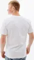 Футболка Ellesse APREL біло-чорно-червона SHR06453-908