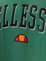 Футболка Ellesse COLOMBIA зелена SHR17640-503