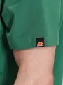 Футболка Ellesse COLOMBIA зелена SHR17640-503