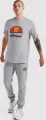 Футболка Ellesse DYNE сіра SXG12736-112