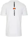Футболка Ellesse PERTUSO белая SXR17669-908