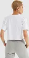 Футболка жіноча Ellesse ALBERTA біла SGS04484-908