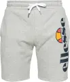 Шорты Ellesse BOSSINI серые SHS08748-106