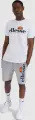 Шорты Ellesse BOSSINI серые SHS08748-106