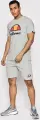 Шорти Ellesse MALVIVA сірі SXG13532-112