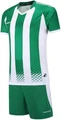 Футбольна форма Europaw 020 зелено-біла europaw83