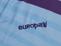 Футбольная форма Europaw 026 голубо-фиолетовая europaw119