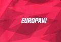 Комплект футбольной формы Europaw 027 красно-черный europaw654