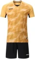 Комплект футбольної форми дитячий Europaw 027 жовтий-чорний europaw681
