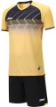 Комплект футбольної форми дитячий Europaw 029 SLAVA жовто-чорний europaw687