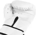 Рукавички боксерські Everlast CORE 2 TRAINING GLOVES білі L/XL P00002326