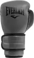 Перчатки боксерские Everlast POWERLOCK 2R TRAINING GLOVES серые (10 унций) P00002304