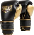 Перчатки боксерские Everlast POWERLOCK 2R TRAINING GLOVES черно-золотые (10 унций) P00002661