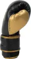 Перчатки боксерские Everlast POWERLOCK 2R TRAINING GLOVES черно-золотые (10 унций) P00002661