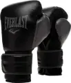 Рукавички боксерські Everlast POWERLOCK 2R TRAINING GLOVES чорні (14 унцій) P00002285