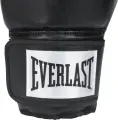 Перчатки боксерские Everlast PROSTYLE 2 BOXING GLOVES черные (16 унций) P00003076