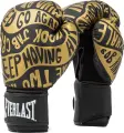 Рукавички боксерські Everlast SPARK TRAINING GLOVES чорно-золоті (12 унцій) 919580-70-8112