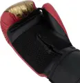 Рукавички боксерські дитячі Everlast PROSPECT 2 BOXING GLOVES червоно-золоті (6 унцій) P00002973