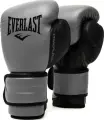 Рукавички боксерські Everlast POWERLOCK 2R TRAINING GLOVES сірі (16 унцій) P00002307