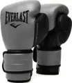 Рукавички боксерські Everlast POWERLOCK 2R TRAINING GLOVES сірі (12 унцій) P00002305