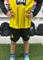 Футбольна форма з довгим рукавом дитяча Боруссія Дортмунд (Borussia Dortmund) 2024-2025 домашня жовто-чорна F0015