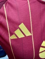 Футболка Рома (Roma) 2024-2025 домашня бордово-золота F0063