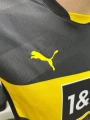 Футбольна форма Боруссія Дортмунд (Borussia Dortmund) 2024-2025 виїзна темно-сіро-чорно-жовта F0110