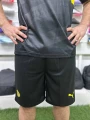 Футбольна форма Боруссія Дортмунд (Borussia Dortmund) 2024-2025 виїзна темно-сіро-чорно-жовта F0110