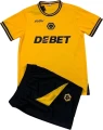 Футбольная форма Вулверхемптон (Wolverhampton Wanderers) 2024-2025 домашняя желто-черная F0111